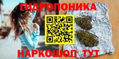 стаф Бийск